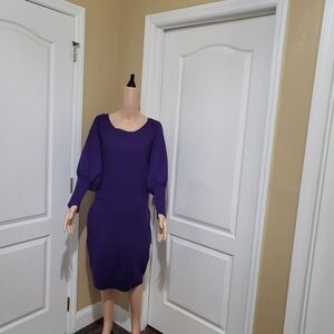 Elegant‎ Purple Women's Dress This Dress  is pre-owned